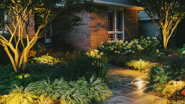 walkway lighting within landscape