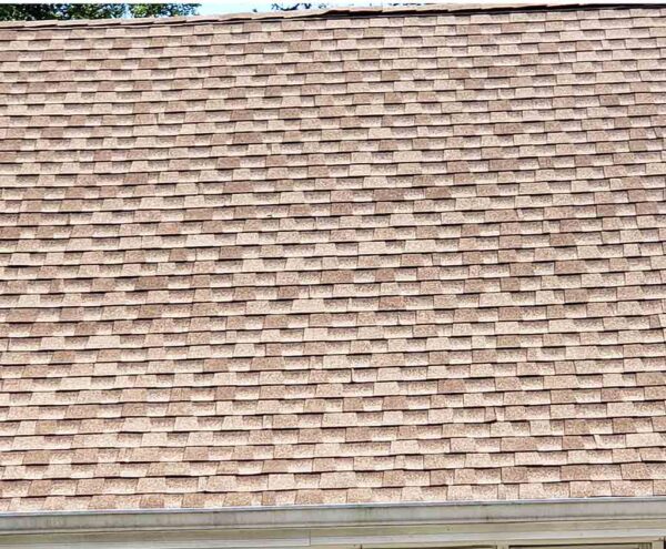new shingle roof color