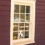 historic window