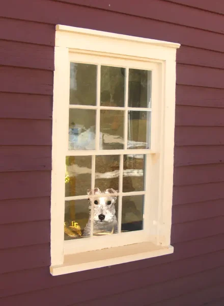 historic window
